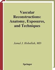 Tapa de Vascular Reconstructions