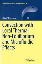 Tapa de Convection with Local Thermal Non-Equilibrium and Microfluidic Effects
