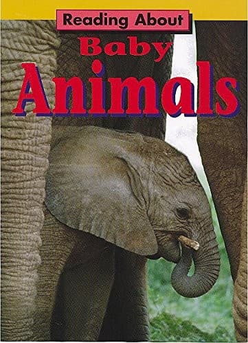 Tapa de Baby Animals