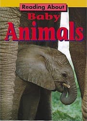 Tapa de Baby Animals