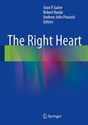 Tapa de The Right Heart