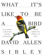 Tapa de What It's Like to Be a Bird