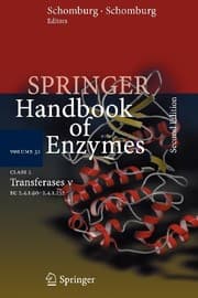 Tapa de Class 2 Transferases V