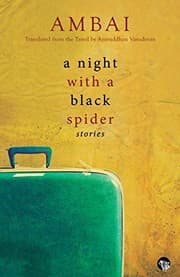 Tapa de A Night with a Black Spider