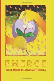 Tapa de Emerge
