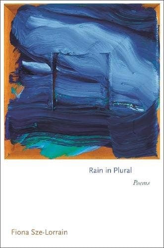 Tapa de Rain in Plural