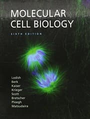Tapa de Molecular Cell Biology & Solutions Manual