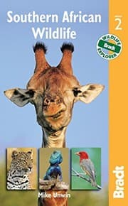 Tapa de Southern African Wildlife