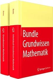 Tapa de Grundwissen Mathematikstudium mit Arbeitsbuch
