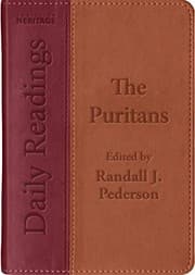 Tapa de The Puritans