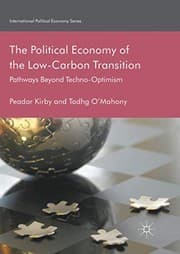 Tapa de The Political Economy of the Low-Carbon Transition
