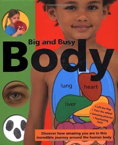 Tapa de Big and Busy Body