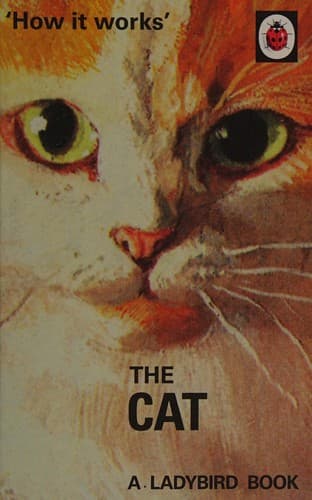 Tapa de The cat