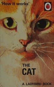 Tapa de The cat