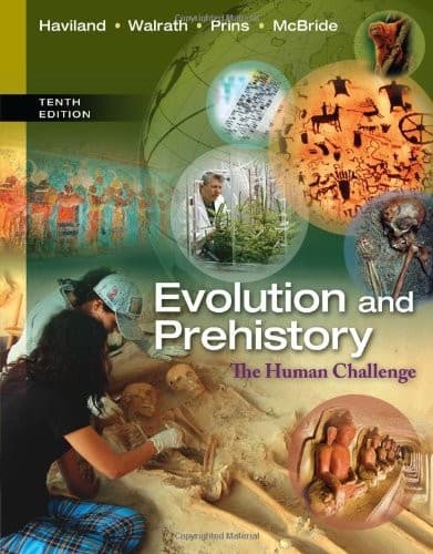 Tapa de Evolution and Prehistory