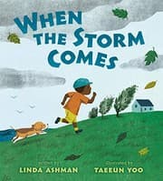 Tapa de When the Storm Comes