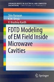 Tapa de FDTD Modeling of EM Field inside Microwave Cavities