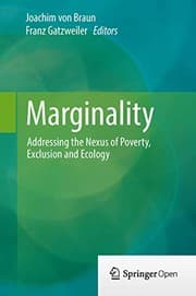 Tapa de Marginality