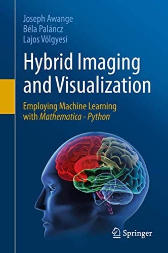 Tapa de Hybrid Imaging and Visualization