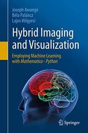 Tapa de Hybrid Imaging and Visualization