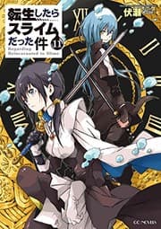 Tapa de 転生したらスライムだった件 11 (light novel)