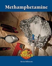 Tapa de Methamphetamine