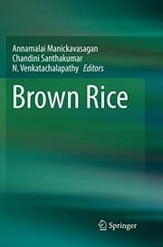 Tapa de Brown Rice