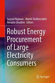 Tapa de Robust Energy Procurement of Large Electricity Consumers