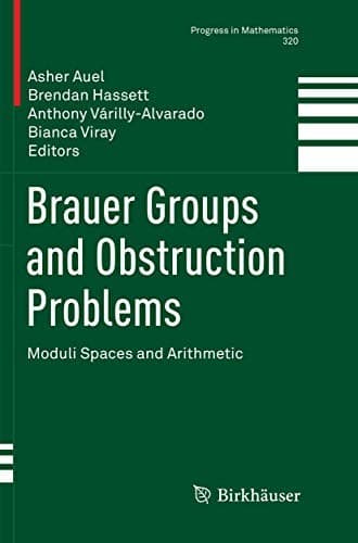 Tapa de Brauer Groups and Obstruction Problems