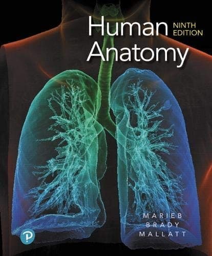 Tapa de Human Anatomy
