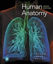 Tapa de Human Anatomy