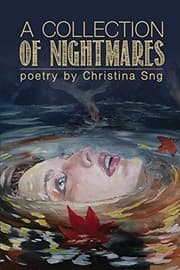 Tapa de A Collection of Nightmares