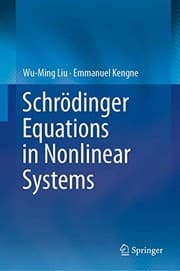 Tapa de Schrödinger Equations in Nonlinear Systems