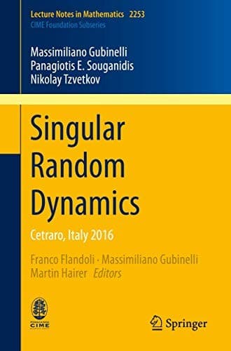 Tapa de Singular Random Dynamics