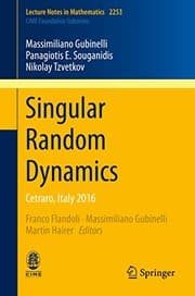 Tapa de Singular Random Dynamics