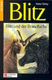Tapa de Black Stallion and Flame