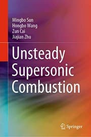 Tapa de Unsteady Supersonic Combustion