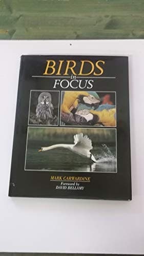 Tapa de Birds in focus