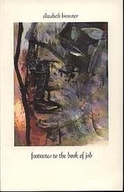 Tapa de Footnotes to the Book of Job