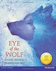 Tapa de EYE OF THE WOLF LE Y6