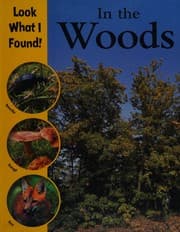 Tapa de In the woods