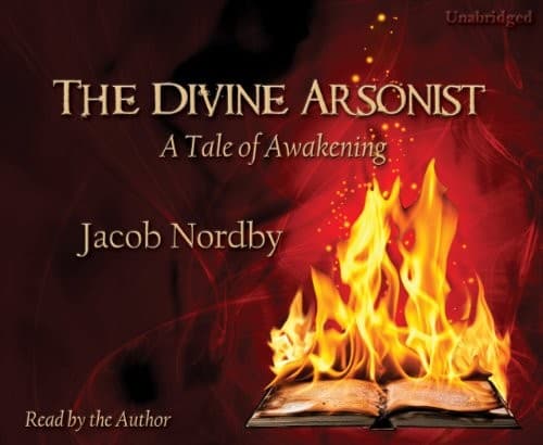 Tapa de The Divine Arsonist