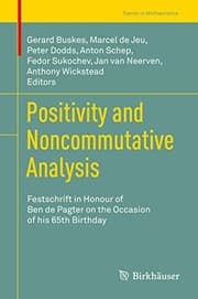 Tapa de Positivity and Noncommutative Analysis