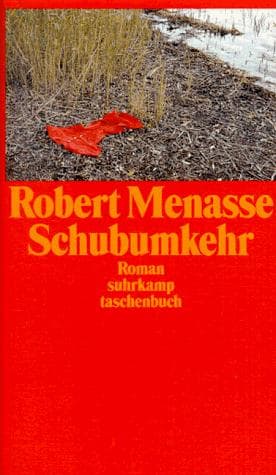 Tapa de Schubumkehr.