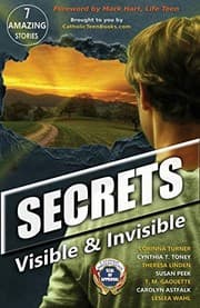 Tapa de Secrets