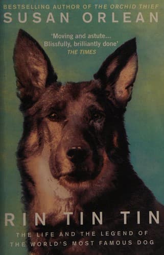 Tapa de Rin Tin Tin