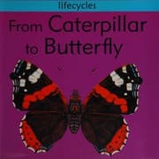 Tapa de From Caterpillar to Butterfly (Lifecycles)