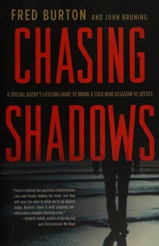 Tapa de Chasing shadows
