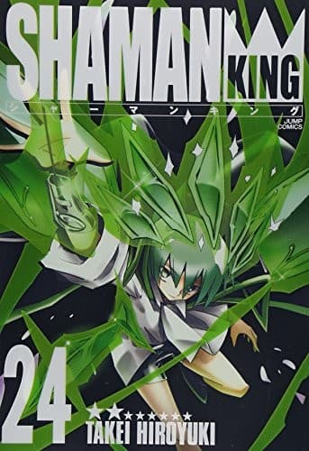 Tapa de シャーマンキング 完全版 24