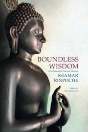 Tapa de Boundless Wisdom